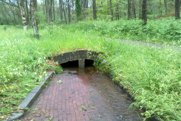 Afkoppelen hemelwater