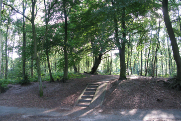Dorpsbos van Doorwerth