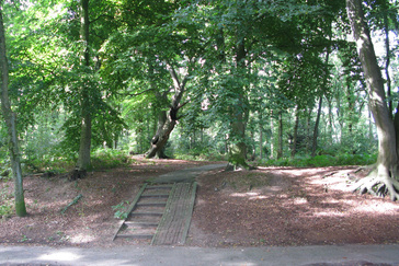 Dorpsbos van Doorwerth Dorpsbos van Doorwerth