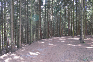 Bossen Rolandseck