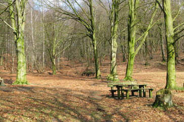 Picknickplaats Boersberg