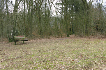 Bank beschut in de zon