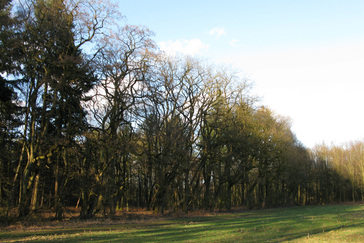Akkerranden