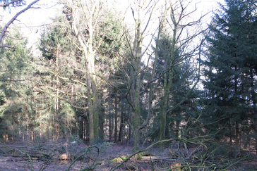 Tuin Huize Eekland