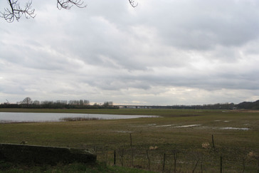 Uitzicht uiterwaarden