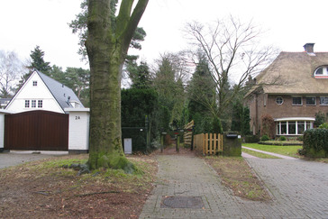 Kabeljauwallee