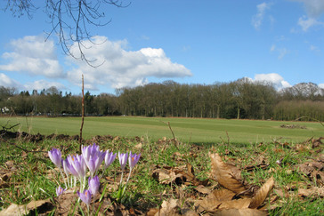 Wolterbeekweg