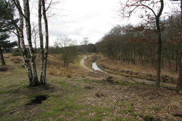 Heelsums Beekdal