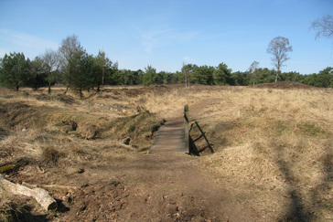 Bovenloop Wolfhezerbeek