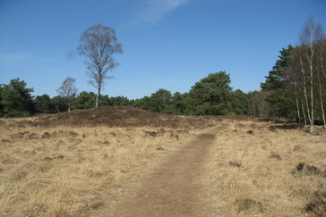 Koningsheuvel