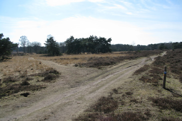 Ontstaan heidevelden