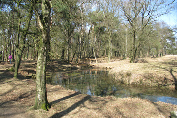 Poel Wolfhezerbeek