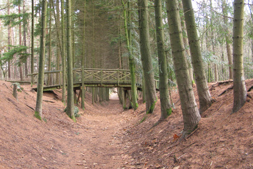 Bruggetje op Landgoed de Bilderberg