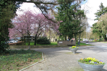Van der Molenbank