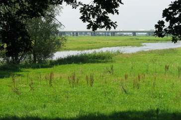 Uitzicht uiterwaarden Uitzicht uiterwaarden