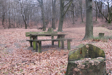 Picknickplaats Boersberg