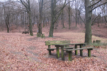 Picknickplaats Boersberg Picknickplaats Boersberg