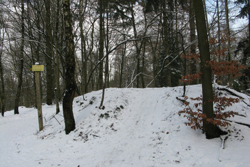 Top Zilverberg