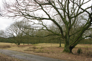 Kapelheuvel Oud Wolfheze